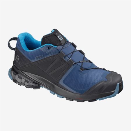 Scarpe Trail Running Salomon XA WILD GTX Uomo Blu IT 2-O01